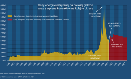 Małe i średnie firmy jednak z zamrożonymi cenami